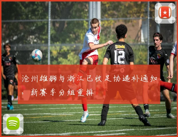 沧州雄狮与浙江已收足协递补通知，新赛季分组重排