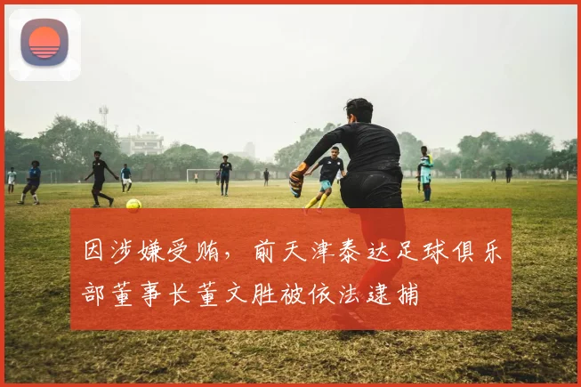 因涉嫌受贿，前天津泰达足球俱乐部董事长董文胜被依法逮捕