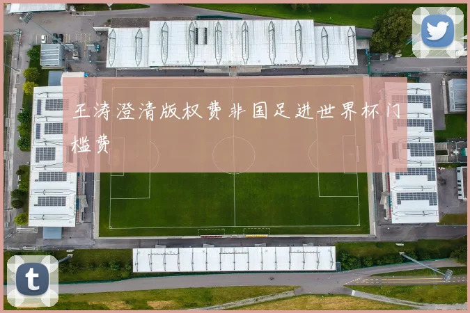 王涛澄清版权费非国足进世界杯门槛费