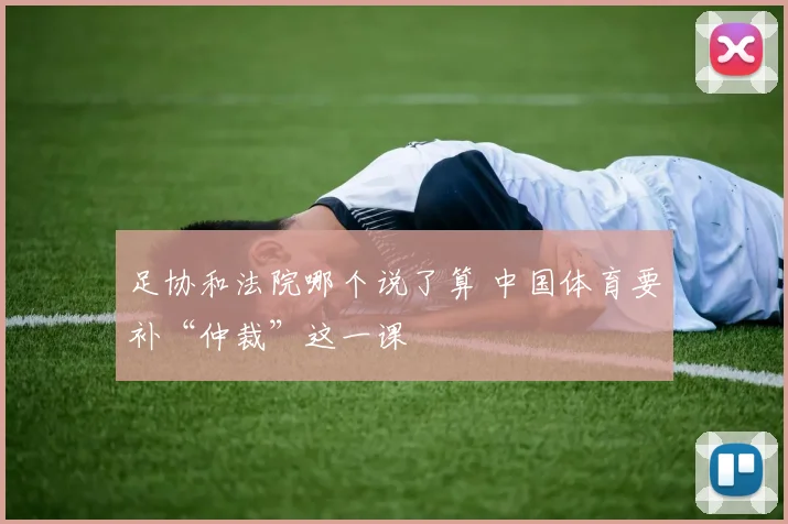 足协和法院哪个说了算 中国体育要补“仲裁”这一课